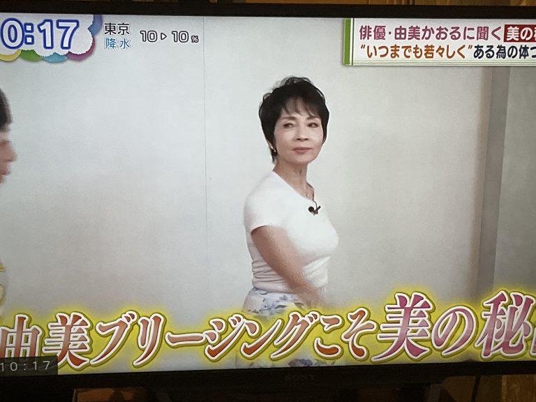 普遍のプロポーション