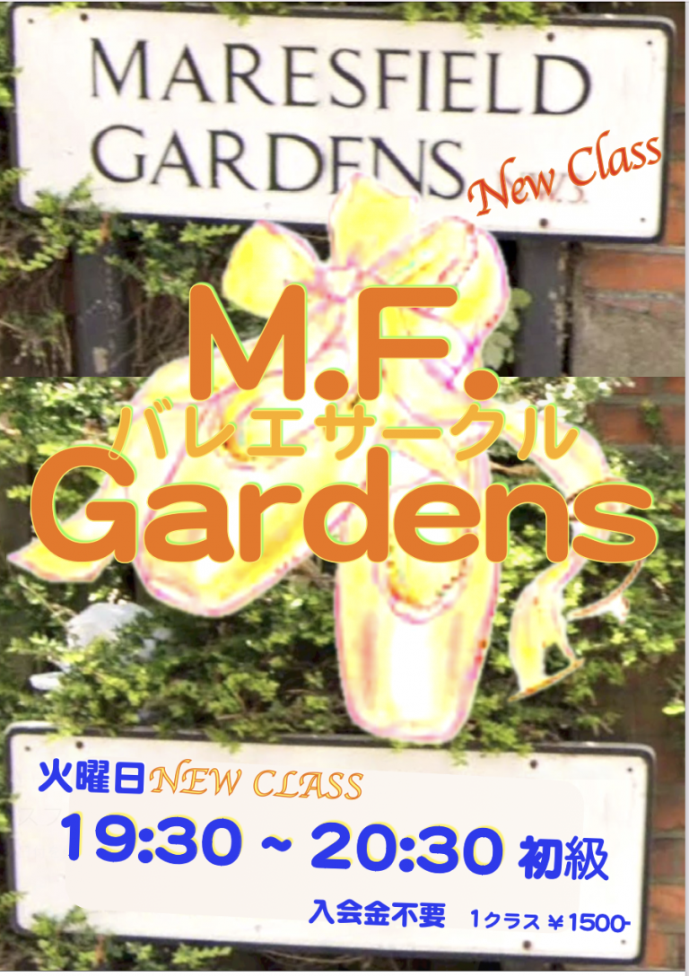 サークル初級クラス増設