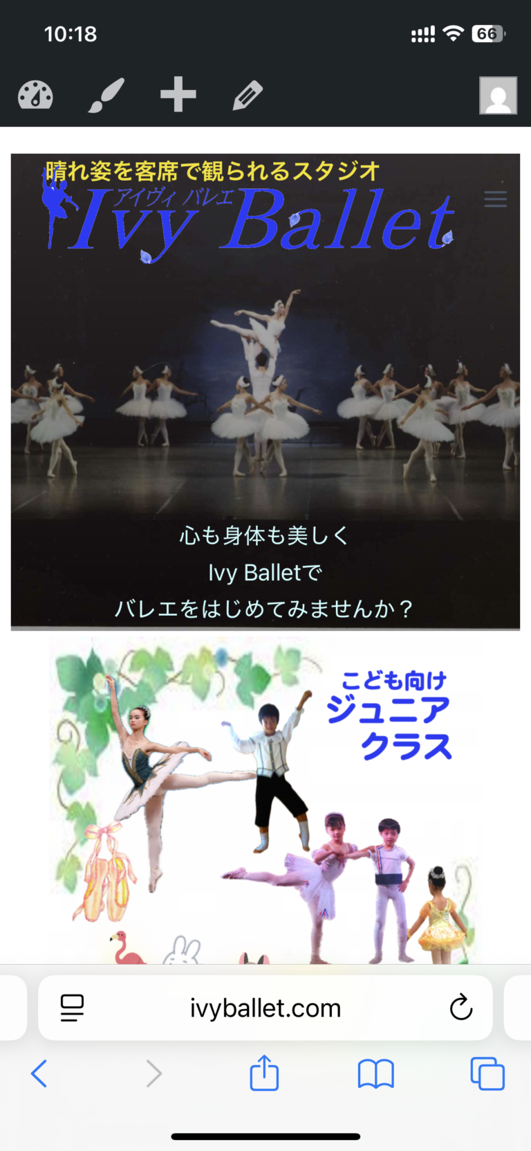Ivy Ballet Website
